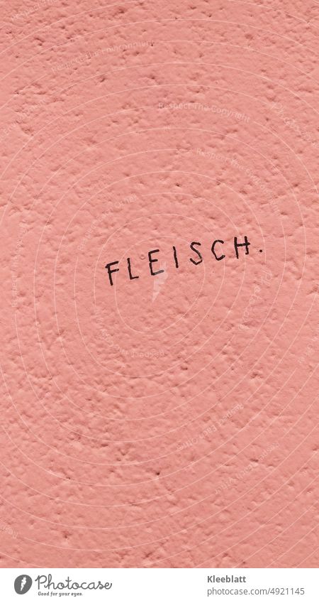 Das Wort  FLEISCH.  in Großbuchstaben mit Punkt an einer fleischfarbenen verputzten Wand - nicht vegan Fleisch. Fleischfarben Graffiti Schriftzeichen Buchstaben
