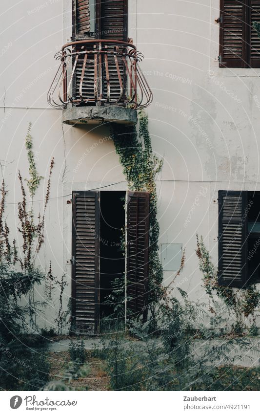 Fensterläden und Balkon an der Fassade eines alten Hauses mit Efeu Fensterladen Tür verfallen Kroatien bewachsen Bewuchs verlassen