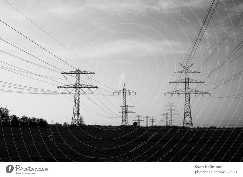Elektroleitungen in schwarz-weiß Hochspannungsleitung Kabel Energiewirtschaft Elektrizität Strommast Außenaufnahme Technik & Technologie Leitung Industrie