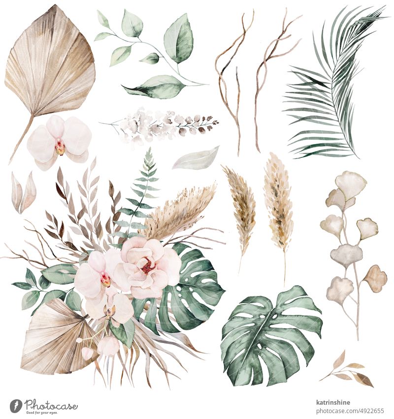 Hochzeit Boho Aquarell Bouquet mit tropischen Blättern und Blumen Illustration und einzelne Elemente botanisch Dekoration & Verzierung exotisch Laubwerk