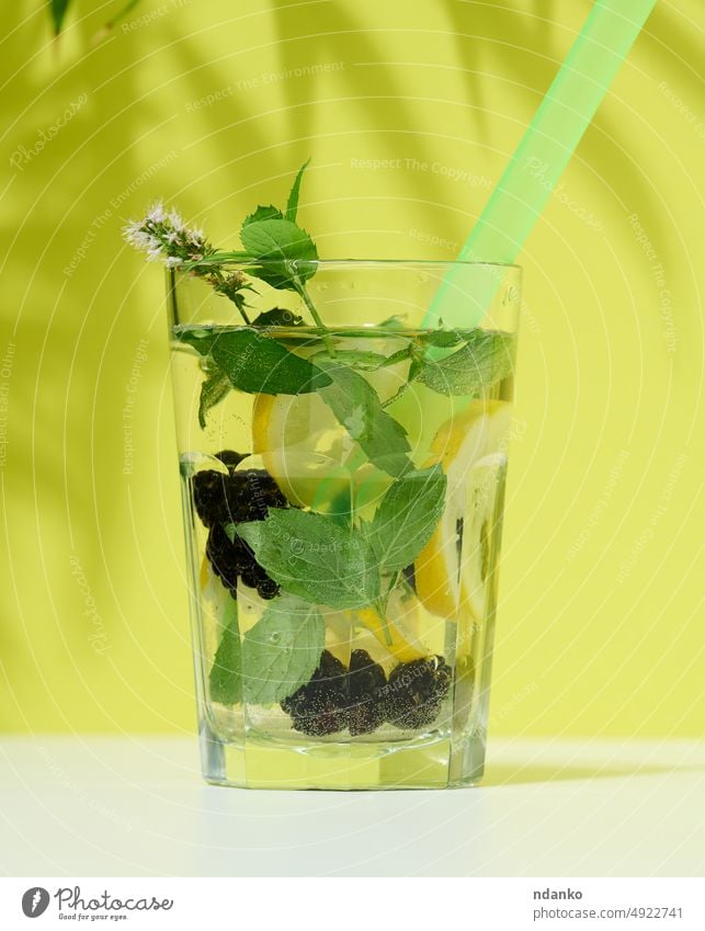 Transparentes Glas mit Limonade, Minzblättern, Zitronenscheiben und Brombeeren in der Mitte. Grüner Hintergrund trinken Eis Frucht frisch kalt Getränk Cocktail