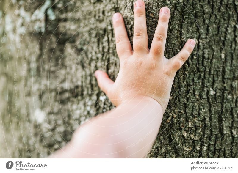 Crop unkenntlich Kind berührt Baumstamm berühren Kofferraum Rinde Sommer Park erkunden natürlich Natur Saison Kindheit tagsüber uneben Wälder ruhen Gelassenheit
