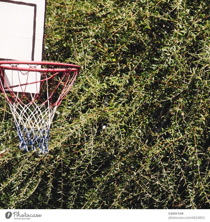 Ein Basketballnetz vor grüner Hecke Sommer Sonnenschein Freizeit & Hobby Spielen Ballsport Detailaufnahme Netz rot Basketballkorb Sport alt schief