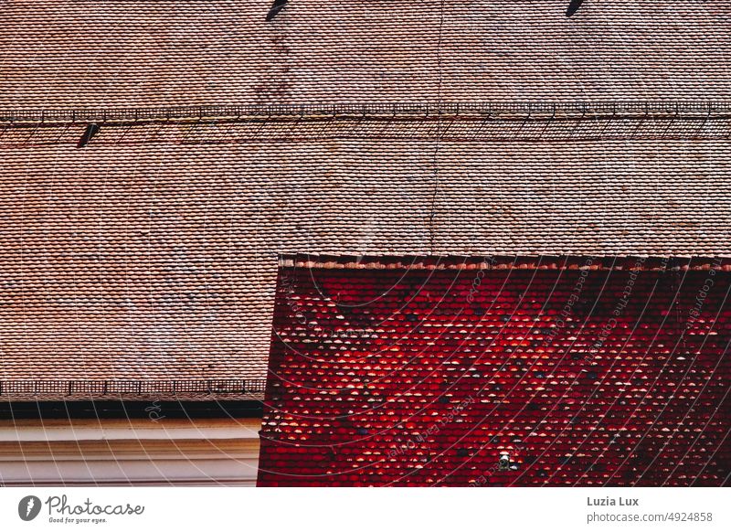 Dächer, Ziegel und Linien in strahlendem Sonnenschein Dach rot braun sonnig alt Haus Architektur Gebäude Stadt Dachgitter hoch