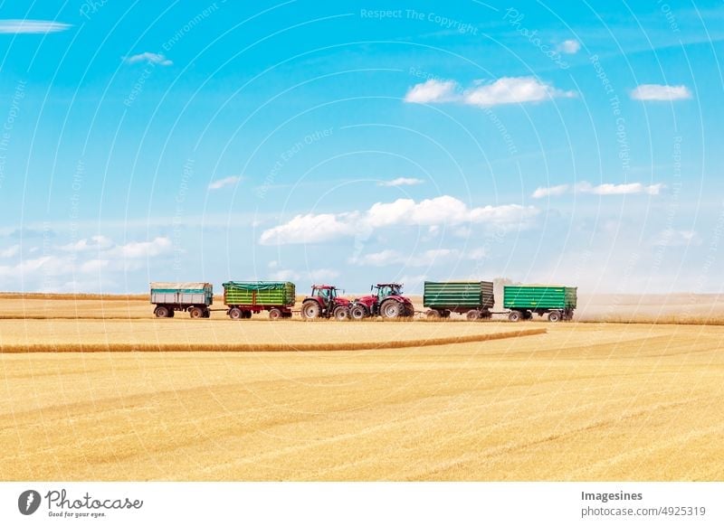 Küsschen. Erntehelfer. Traktoren mit Anhängern am Horizont die auf einem Weizenfeld arbeiten. Weizen ernten. Ackerbau Landwirtschaft Feld ländlich Landschaft
