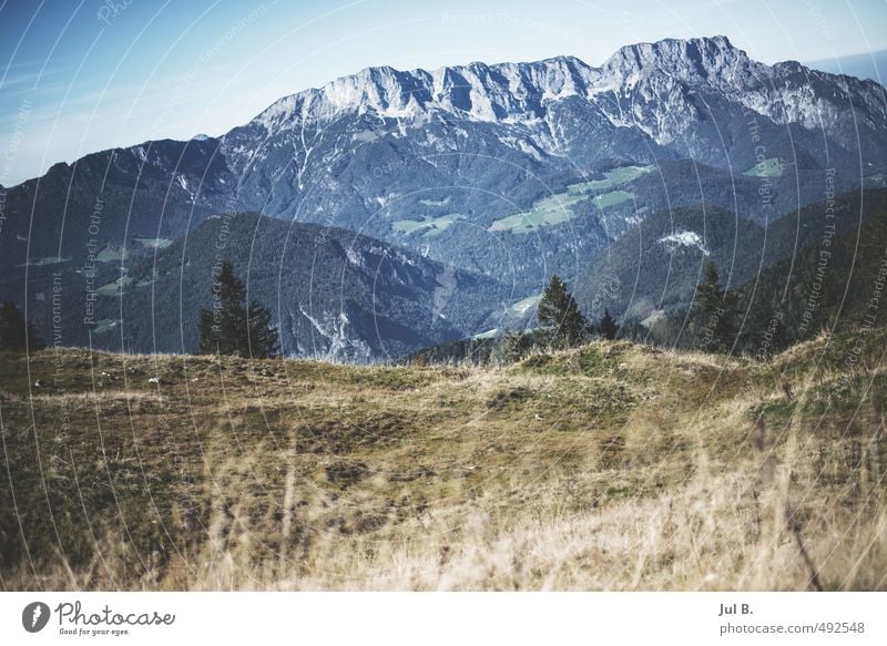 Bayrische Alpen Umwelt Natur Landschaft Luft Wolken Wetter Schönes Wetter gut hell Stimmung Farbfoto Außenaufnahme Tag Licht