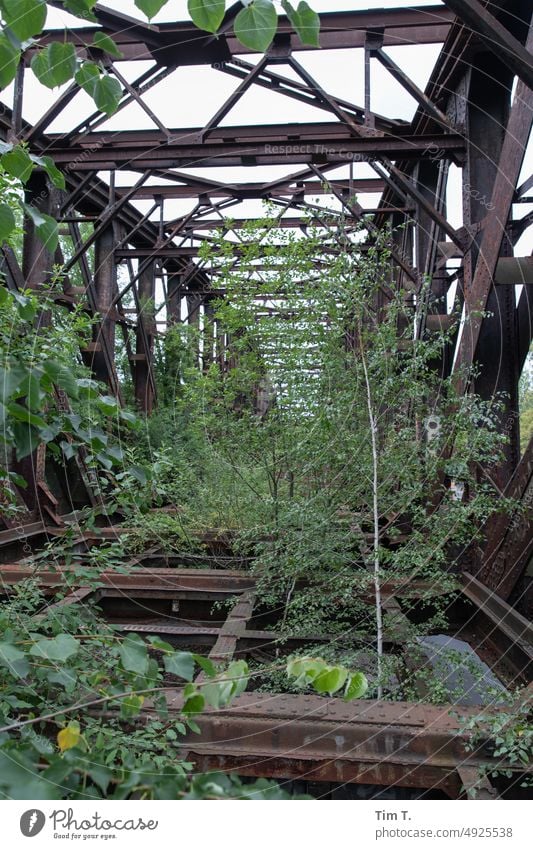 eine alte stillgelegte Eisenbahnbrücke Brücke Ruine Farbfoto Außenaufnahme Menschenleer Architektur Bauwerk Tag Verfall Vergänglichkeit Vergangenheit