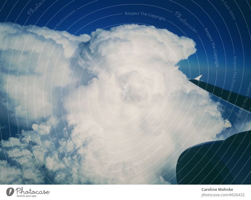 Über den Wolken wolken flugzeug Sicht fliegen Wolkenbild Himmel Ferien Wolkengebilde Natur Sonne Urlaub Reise Landschaft Erholung Sommer freizeit Berge freiheit