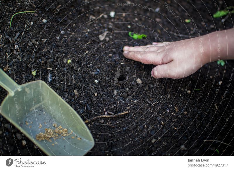 Kind pflanzt Samen in einem Hochbeet für Gemüse im Hinterhof Hände Bepflanzung Saatgut grün gradening Natur Erde Kompostierung hausgemacht Landwirt Gemüseanbau