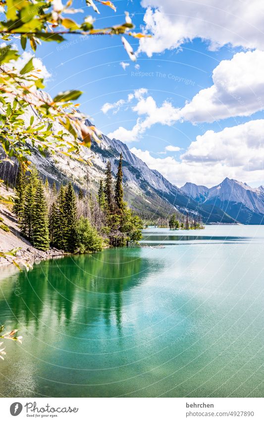 zu schön, um wahr zu sein! Medicine Lake weite Bergsee Reflexion & Spiegelung Ferne Fernweh besonders Ferien & Urlaub & Reisen Tourismus Menschenleer