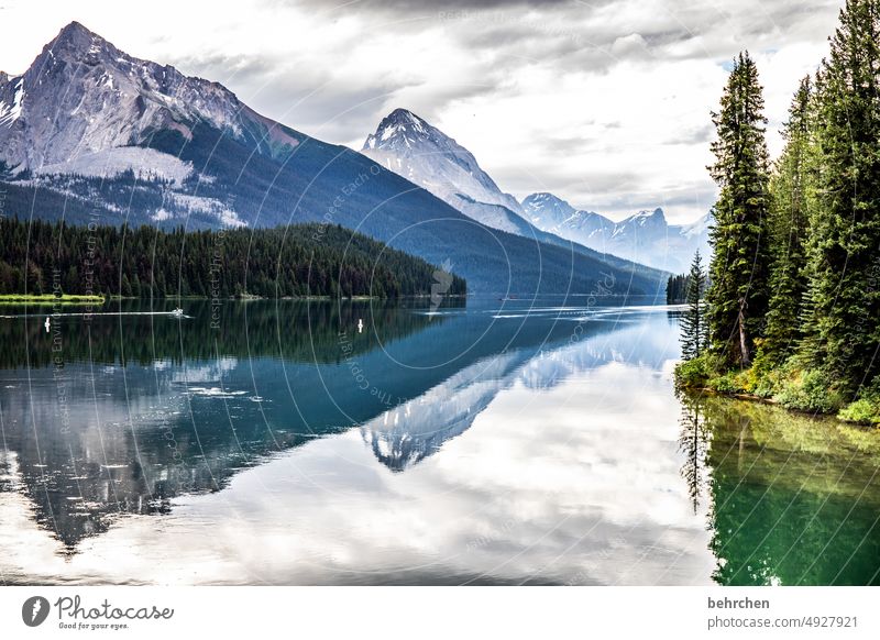 spiegel Bergsee Reflexion & Spiegelung Ferne Fernweh besonders fantastisch Menschenleer Tourismus Ferien & Urlaub & Reisen Farbfoto Nordamerika Rocky Mountains