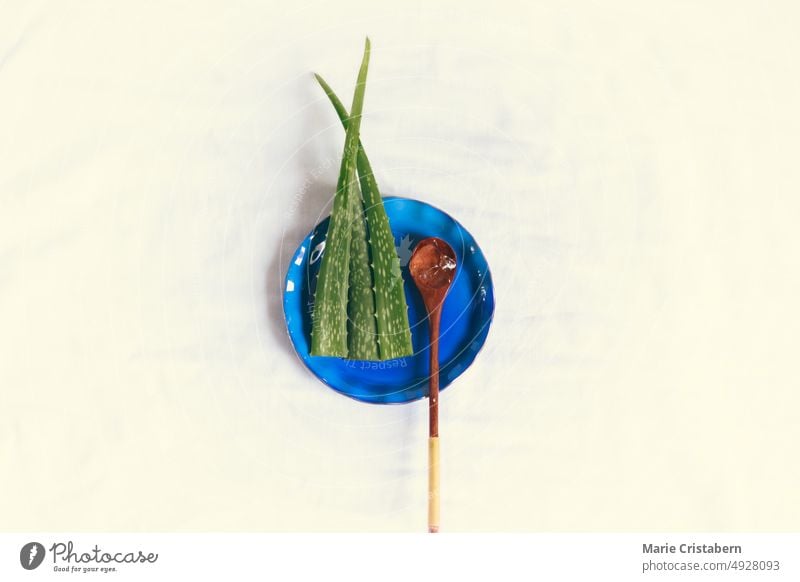 Aloe-Vera-Blätter und Holzlöffel auf einem Keramikteller, die das Konzept des nachhaltigen Lebensstils und des ethischen Konsums zeigen minimalistisch