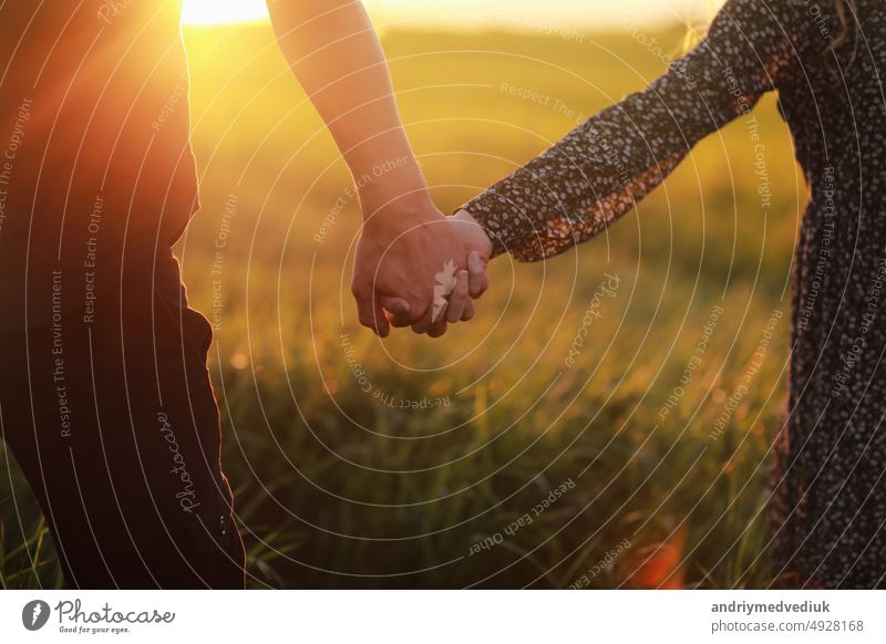 Paar hält Hände im grünen Feld bei Sonnenuntergang Partnerschaft männlich im Freien zwei Romantik Frau Freundin Beteiligung Zusammensein Mann romantisch Liebe