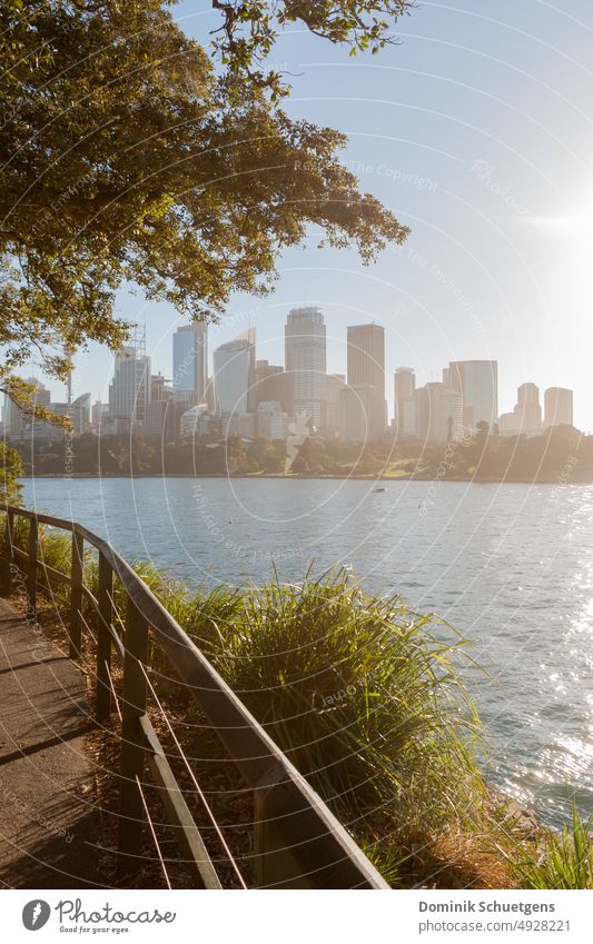 Sonnenuntergang hinter der Skyline von Sydney, Australien Hafencity Hochhaus Hafenstadt Ferien & Urlaub & Reisen Farbfoto Stadt Außenaufnahme Tourismus