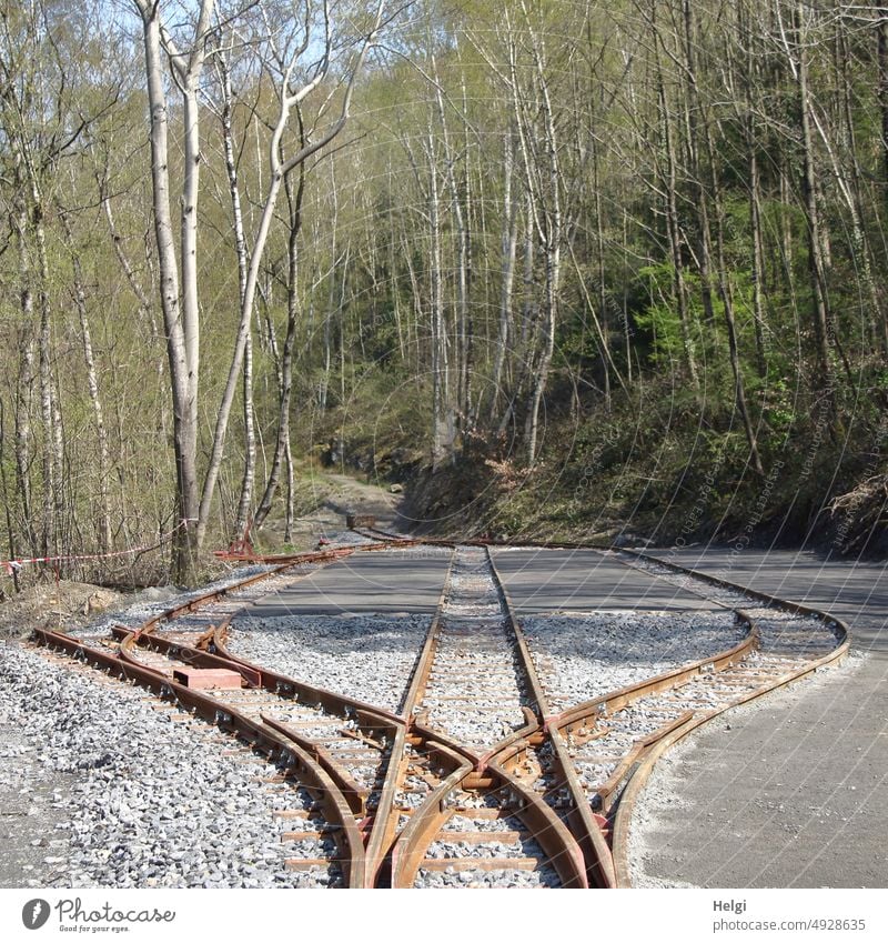 Bahnschienen mit Abzweigungen Schienen Gleis Gleisbett Abstellgleis Weiche geradeaus rechts links Steine Asphalt Bäume Wald Birken Frühling Schienenverkehr