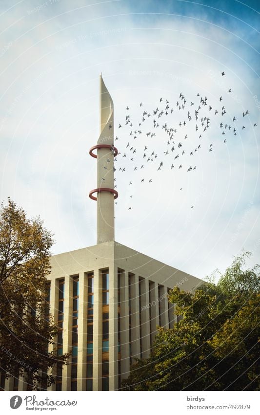 DITIB Zentralmoschee in Köln Zentralmoschee Köln Moschee Ditib Moschee Minarett Architektur Kultur Religion & Glaube Wolken türkisch Baum Köln-Ehrenfeld Taube