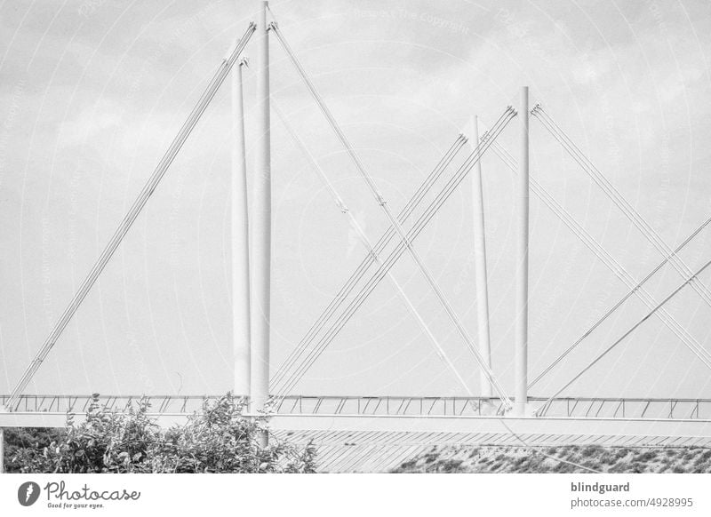 Highkey Bridge and Clouds Dünkirchen Frankreich Brücke Geometrie Baum Bäume hell Wolken Außenaufnahme Menschenleer Natur Himmel Stahl Konstruktion Verbindung