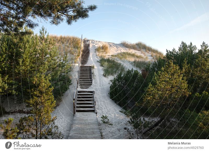 Holztreppe zum Strand, der mit Sand bedeckt ist. Sanddünen, Naturpark mit einem geschützten Küstenstreifen an der Ostsee. Abenteuer Anziehungskraft baltisch