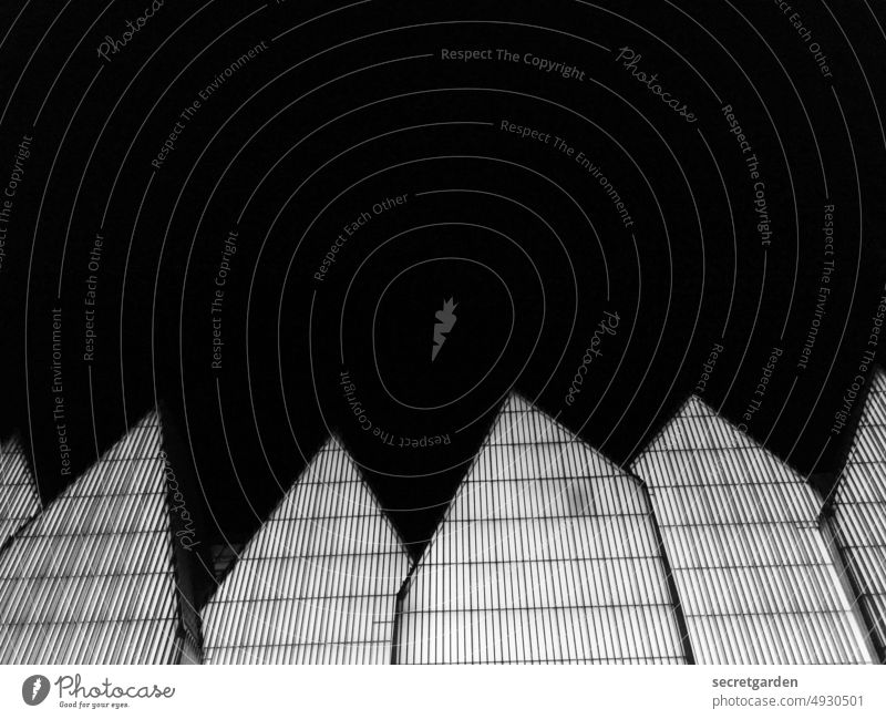 Orte, die etwas bedeuten | Zack-Zack! Philharmonie Stettin Szczecin Polen nachts dunkel Silhouette Architektur modern Moderne Architektur Satteldach Form