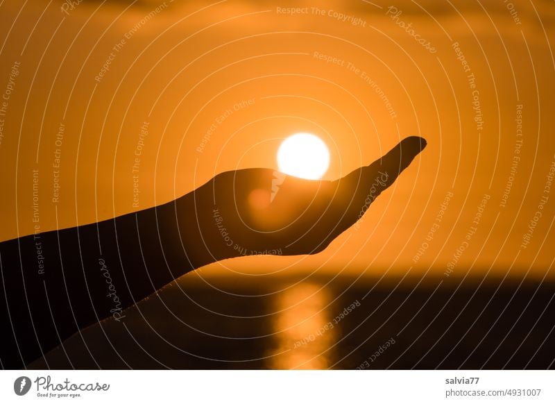 Sonnenball der untergehenden Sonne versinkt in der zur Schale geformten Hand Sonnenuntergang Sonnenkugel Himmel Abend Stimmung Abendstimmung Horizont Silhouette