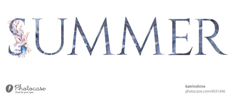 Wort SUMMER aus blauen Buchstaben mit Aquarell Seegras, Korallen und Muscheln Illustration verziert Dekoration & Verzierung Zeichnung Element exotisch