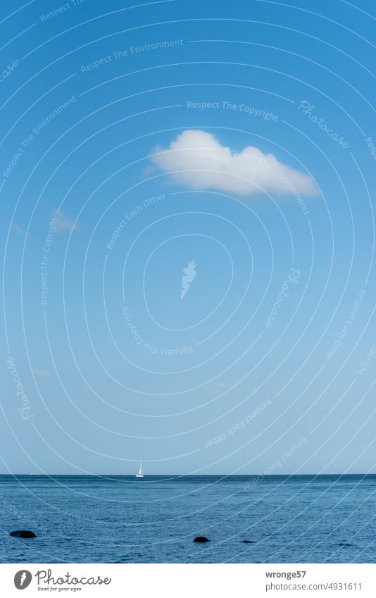 Ein weißes Segelboot am fernen Horizont Blaue See Ostsee Blauer Himmel Schönwetterwolken Meerblick Horizont über dem Wasser Natur Außenaufnahme Farbfoto