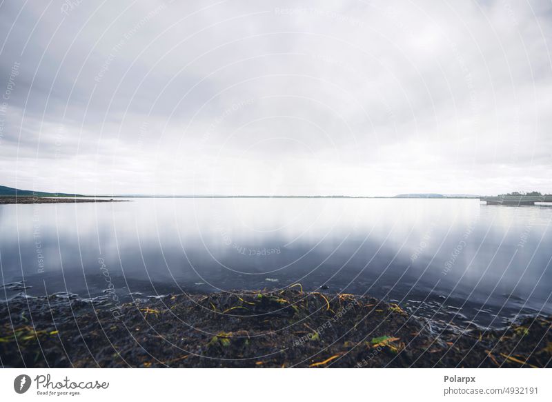 Ruhiger See bei trübem, bewölktem Wetter im Herbst schlammig Seegras Windstille Norwegen Island Schweden Dänemark grau wolkig Tag Skandinavien hell Nebel