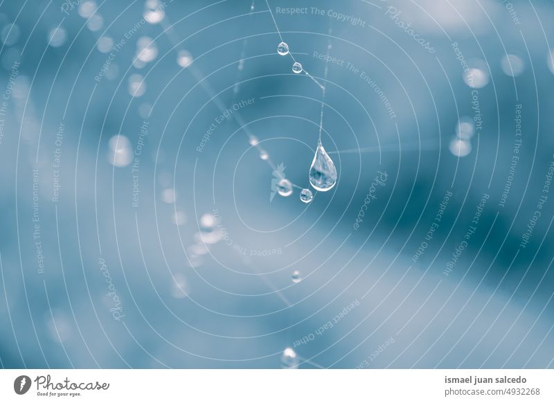 Tropfen auf dem Spinnennetz an regnerischen Tagen Netz Natur Regentropfen Tröpfchen Regenzeit hell glänzend im Freien abstrakt texturiert Hintergrund Wasser