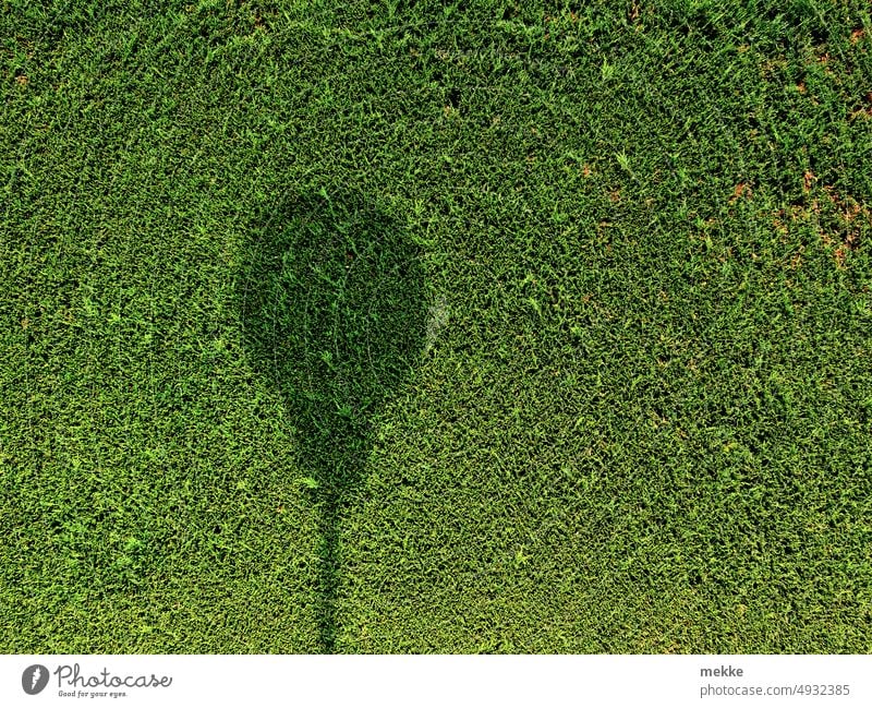 Ein Schatten tarnt sich als Luftballon Licht Sonnenlicht Schattenspiel Strukturen & Formen Licht & Schatten Fassade Kontrast Muster Hecke grün Garten Wand