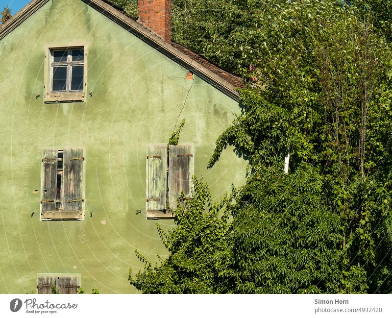 Haus im Dornröschenschlaf Renaturierung begrünt Leerstand Wandel & Veränderung überwuchert zerfallen Ruine Fassadenbegrünung Fensterladen alt leerstehendes Haus