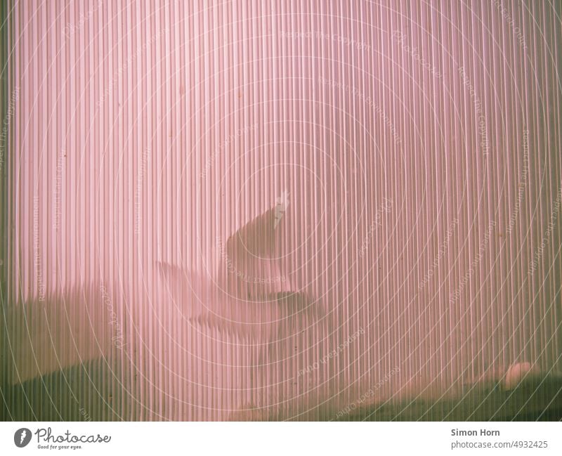 Windrad hinter Lamellen Abschirmung unerreichbar Versteck rosa rosarote Brille Windenergie Potential Strukturen & Formen Infrastruktur Spielzeug abstrakt