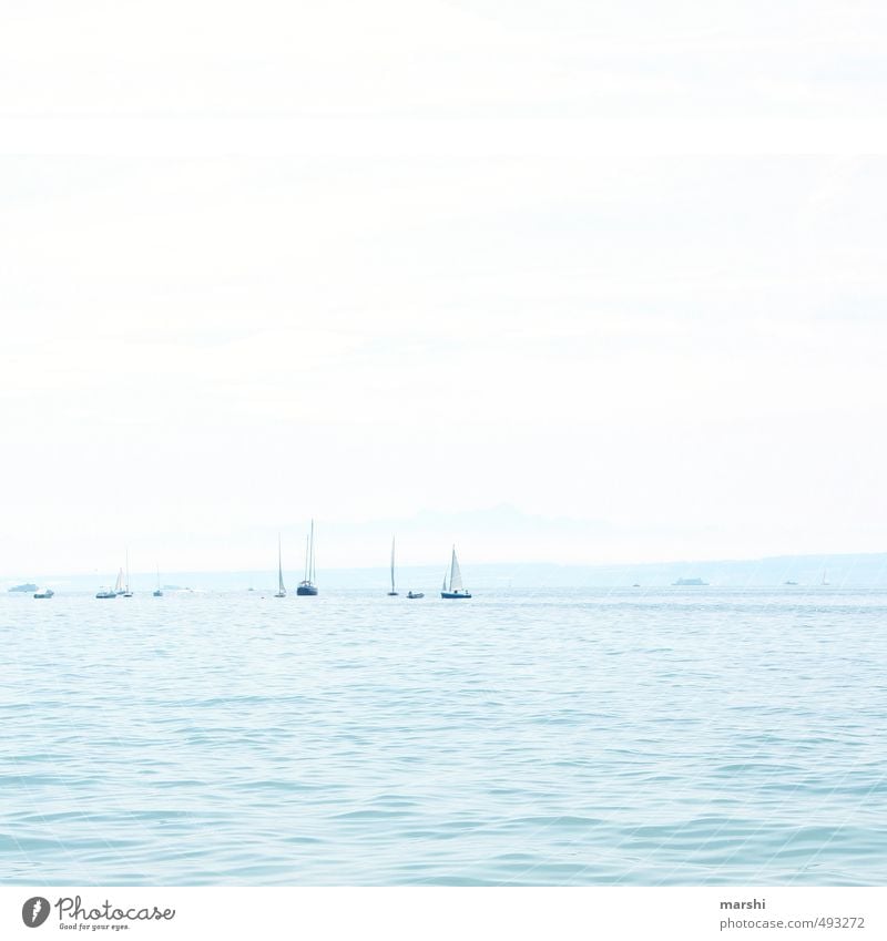 schwäbisches Meer Freizeit & Hobby Wassersport Natur Landschaft Küste blau Bodensee Segeln Segelboot See hell-blau Reisefotografie Farbfoto Außenaufnahme