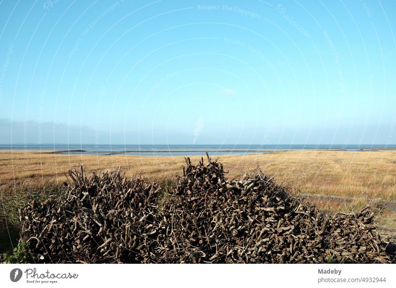 Küstenschutz durch Lahnungsbau im Herbst im Weltnaturerbe Wattenmeer bei Sonnenschein in Bensersiel bei Esens an der Nordsee in Ostfriesland in Niedersachsen