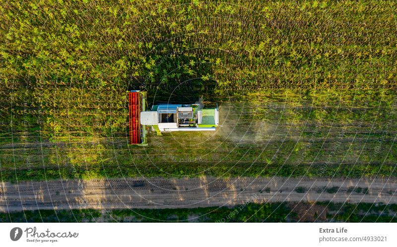 Draufsicht auf Mähdrescher, Erntemaschine, erntereife Sonnenblume oben Antenne Ackerbau Müsli Land kultiviert Bodenbearbeitung geschnitten Staubwischen staubig