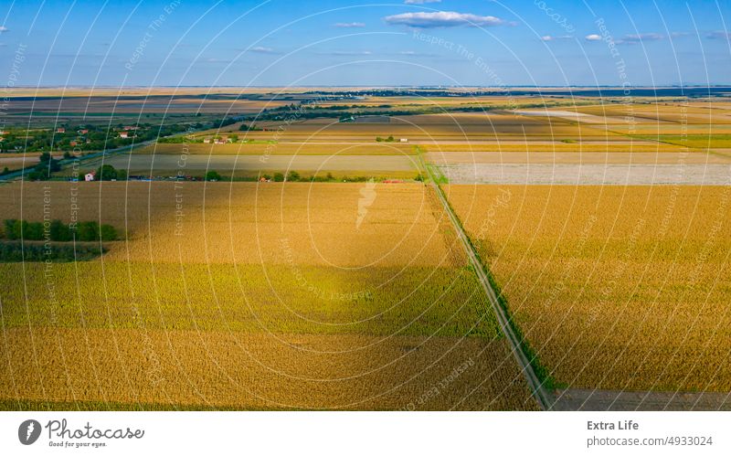 Luftaufnahme über landwirtschaftliche Felder im Herbst mit erntereifem Getreide oben Antenne Ackerbau anbaufähig Müsli Cloud Mais Land Ernte kultiviert geteilt
