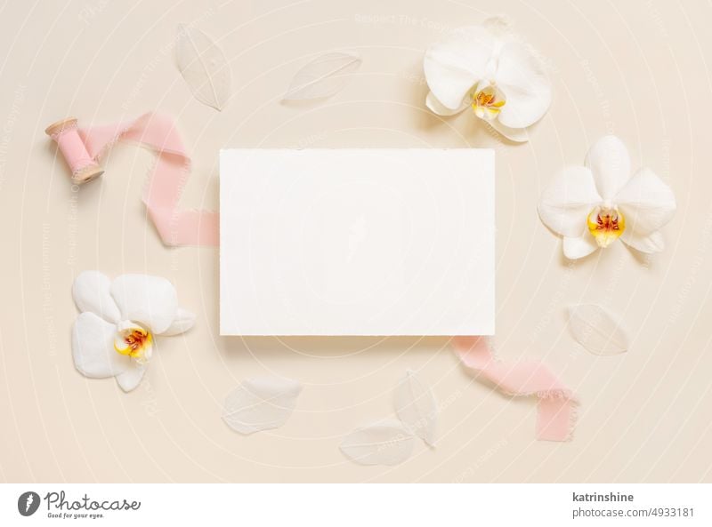 Blanko-Karte in der Nähe von weißen Orchideenblüten und rosa Seidenbändern auf hellbeige, Hochzeit Mockup Postkarte Blumen Attrappe Bändchen tropisch Draufsicht
