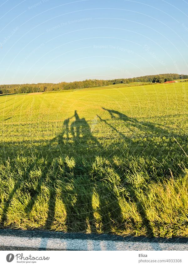 Schatten zweier Fahrradfahrenden auf grüner Wiese im Sonnenschein Radfahrende Radfahrerin Ausflug Landschaft im Freien ländlich Natur Fahrradausflug Radtour