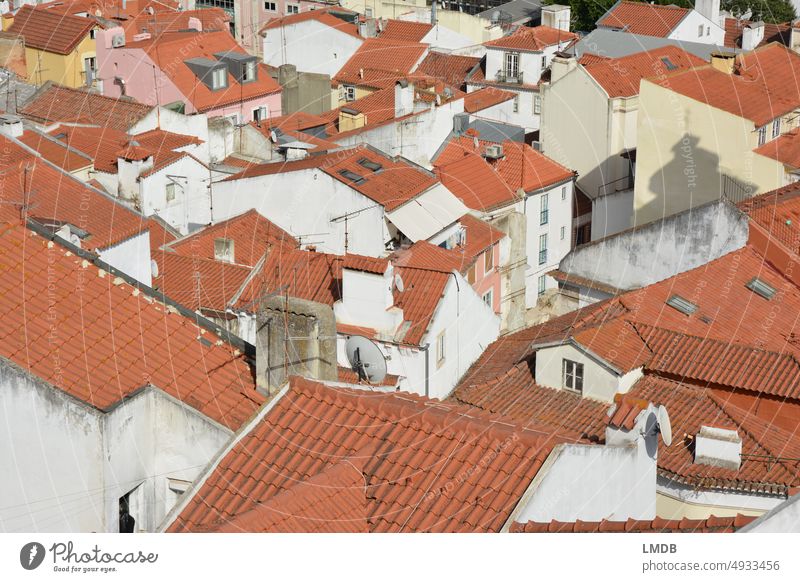Dächer Lissabons Dächerlandschaft dächer Dachziegel roter Ziegelstein Altstadt Tourismus Portugal über den Dächern Hintergrundbild