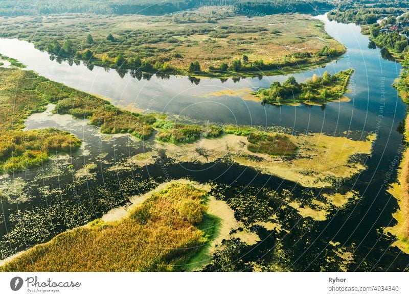 Aerial View Green Marsh und Flusslandschaft im Sommer Tag. Top View of Beautiful European Nature From High Attitude In Summer Season. Drone Ansicht. Vogelperspektive Ansicht
