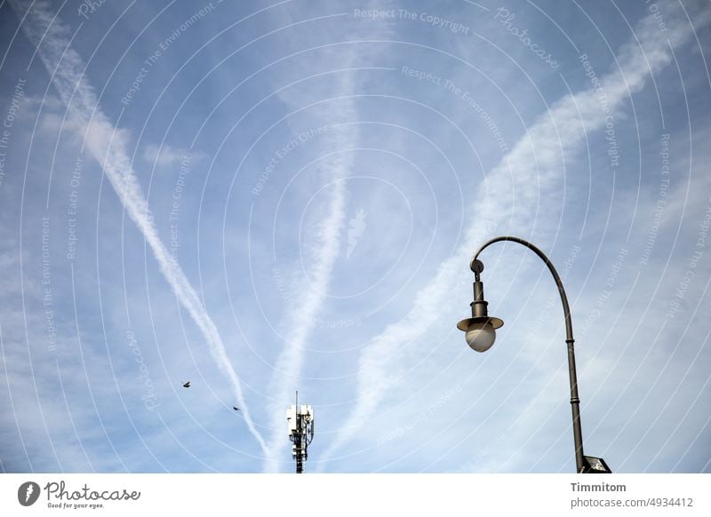 Flugtiere und unbewegliche Objekte Vögel fliegen Himmel blau Wolken Kondensstreifen Lampe Straßenbeleuchtung Antenne Mast Köln Vogel Außenaufnahme Laterne