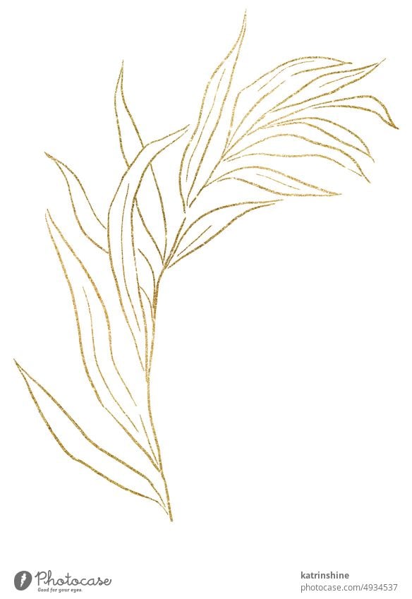 Goldene Umrisse botanische funkelnde Blätter Illustration, Hochzeit Design einzelnes Element Dekoration & Verzierung Laubwerk Garten handgezeichnet Feiertag