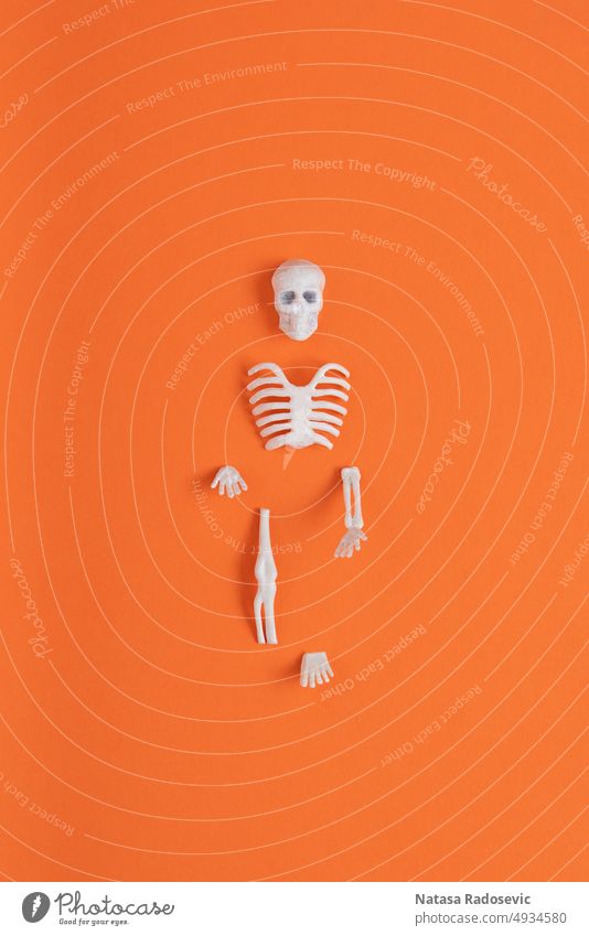 Skelettteile isoliert auf orangefarbenem Hintergrund. abstrakt Zeitgenosse Halloween Konzept Entsetzen Rechteck Anatomie Kunst Herbst Körper Knochen farbenfroh