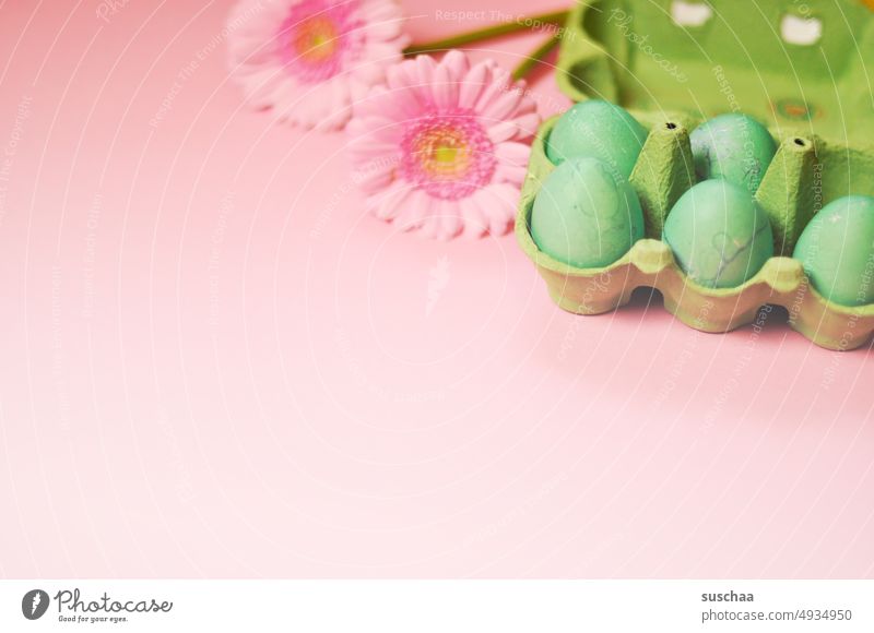 ostereier in grün und rosa Ostern Ostereier gefärbt Tradition Dekoration & Verzierung Eier Lebensmittel bunte Eier gekochte Eier Osterfest Ernährung Frühling
