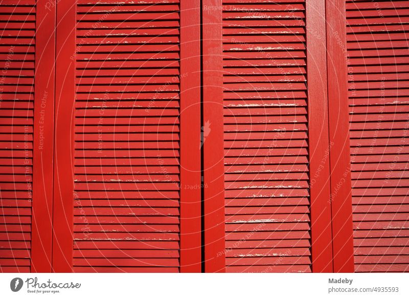 Rot gestrichene alte Fensterläden aus Holz mit Lamellen bei Sonnenschein in der Altstadt von Blomberg in Ostwestfalen-Lippe fenster beschaffenheit dekor wand