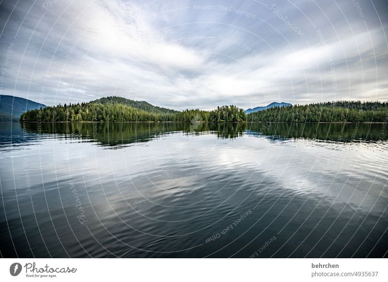 eintauchen Spiegelung Himmel Berge u. Gebirge beeindruckend besonders Natur Küste Landschaft Meer Wald British Columbia Wasser Abenteuer Freiheit Kanada