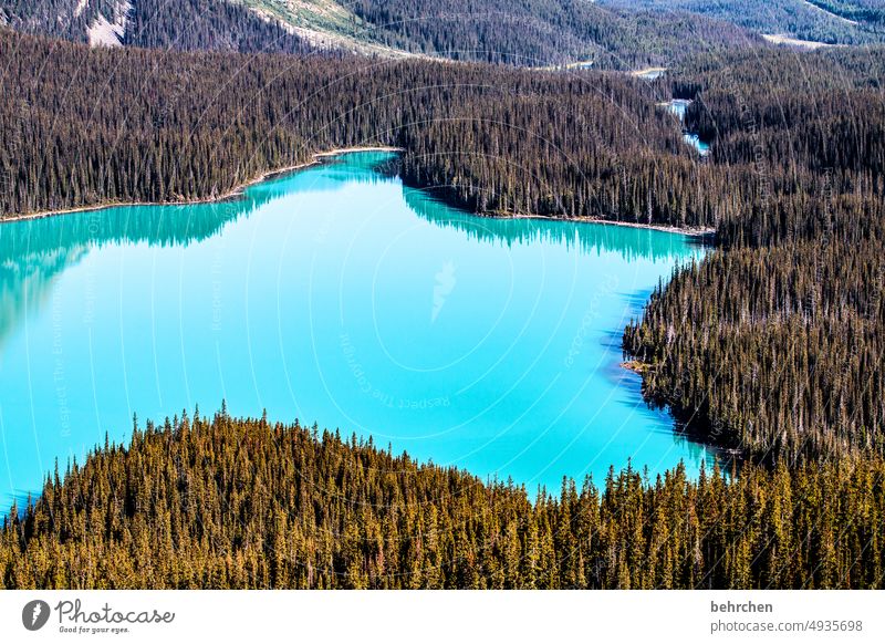 übertrieben | farbig Bergsee Reflexion & Spiegelung Wolf weite Ferne Fernweh besonders fantastisch Menschenleer Alberta Banff National Park Tourismus