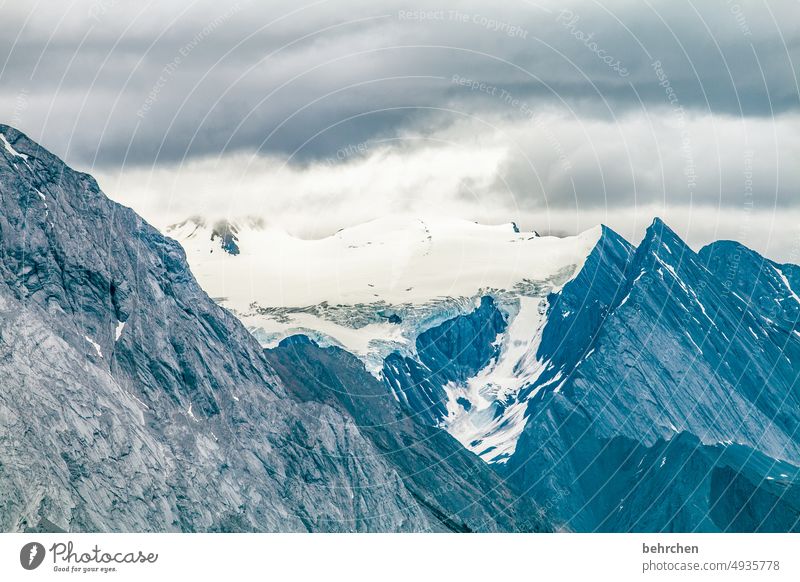 eisig Gletscher Abenteuer beeindruckend Berge u. Gebirge Landschaft Nordamerika Farbfoto Rocky Mountains Kanada besonders Außenaufnahme Natur fantastisch