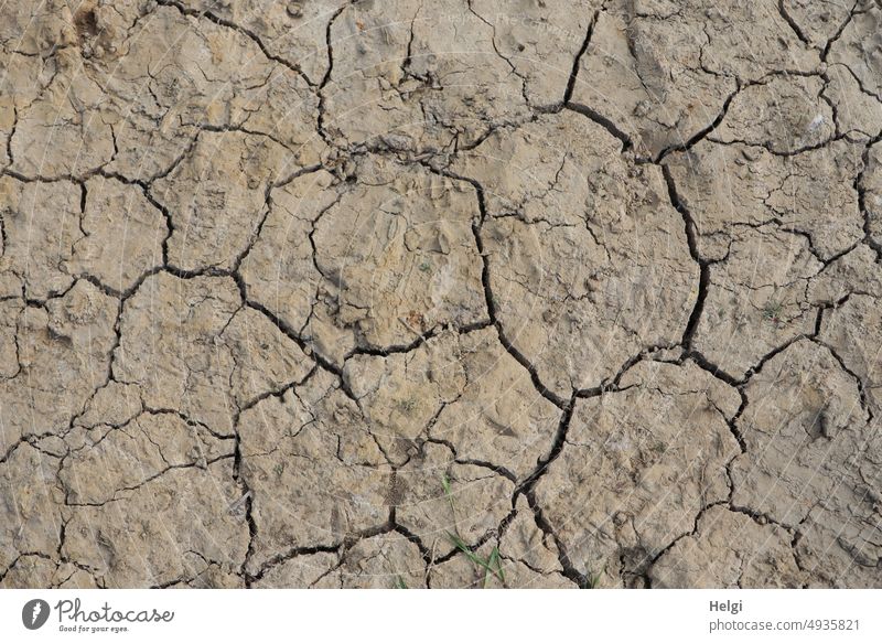 Dürre - ausgetrockneter Erdboden mit Rissen Trockenheit Boden Erde Umwelt trocken Klima Sommer Klimawandel Oberfläche Menschenleer Außenaufnahme braun