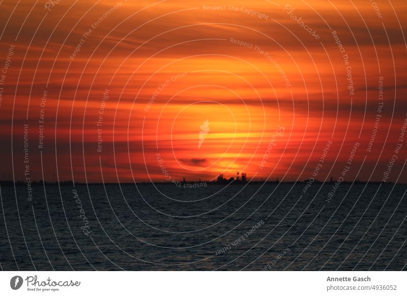 Sonnenuntergang an der Nordsee Meer Küste rot Himmel Wasser Außenaufnahme Landschaft