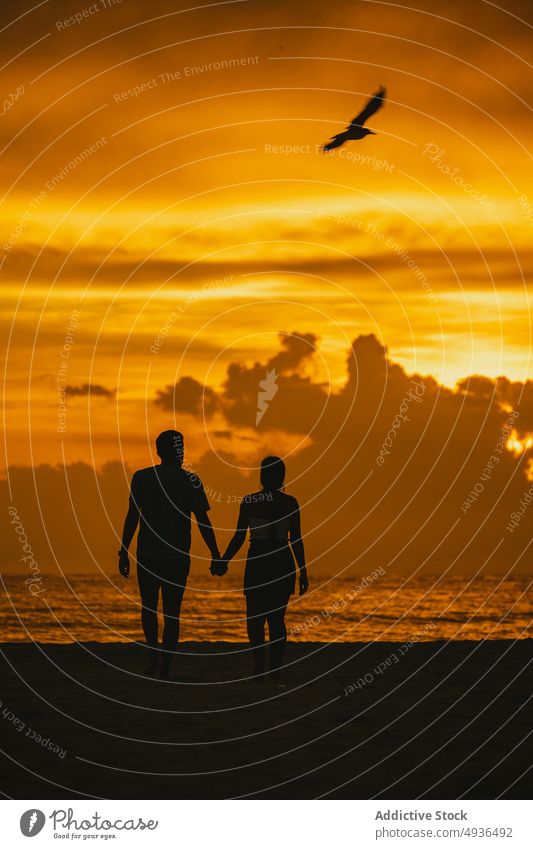 Unerkanntes romantisches Paar hält sich an den Händen und bewundert das Meer bei Sonnenuntergang Händchenhalten Strand Spaziergang Silhouette MEER Liebe